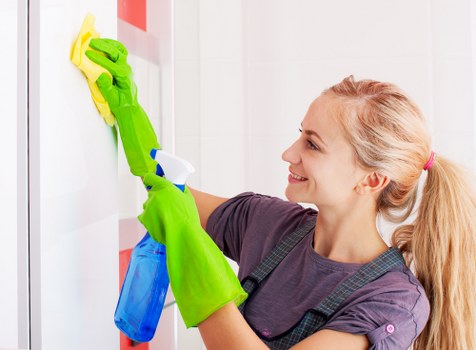 Professional oven cleaning in a modern kitchen