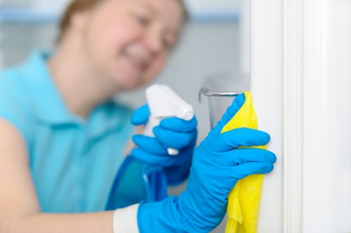 Professional mattress cleaning process in a bedroom