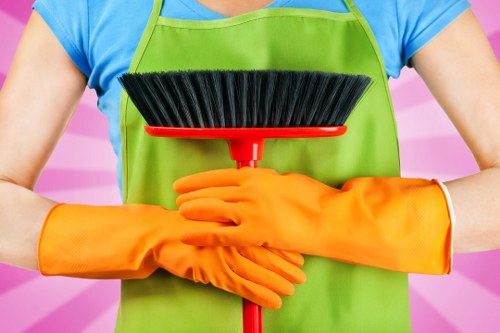 Deep house cleaning tools arranged for home maintenance