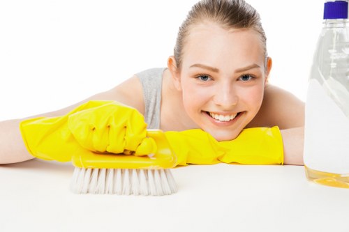 Experienced Surrey cleaners performing deep cleaning in a property