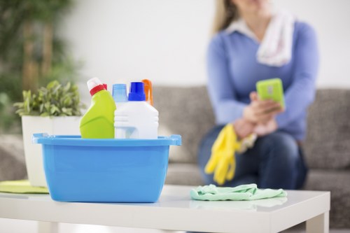 Professional window cleaning tools and equipment on site