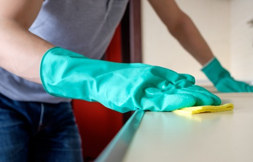 Bathroom domestic cleaning with sanitized fixtures