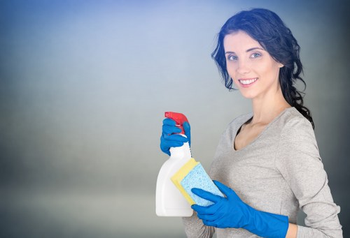 Seasonal domestic cleaning in a bright home interior